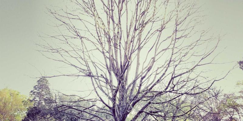 功放与音箱的黄金组合：探索现代音频技术的核心奥秘