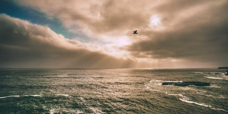 功放与音箱的黄金组合：揭秘87系列音响设备的音频技术核心