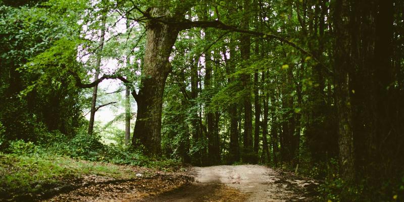 数字音频与黑胶复兴:现代音响设备的双重奏