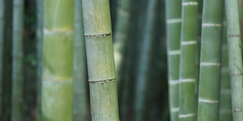 蓝牙音箱音质瓶颈如何突破？从编码协议到单元振膜的全面技术解析