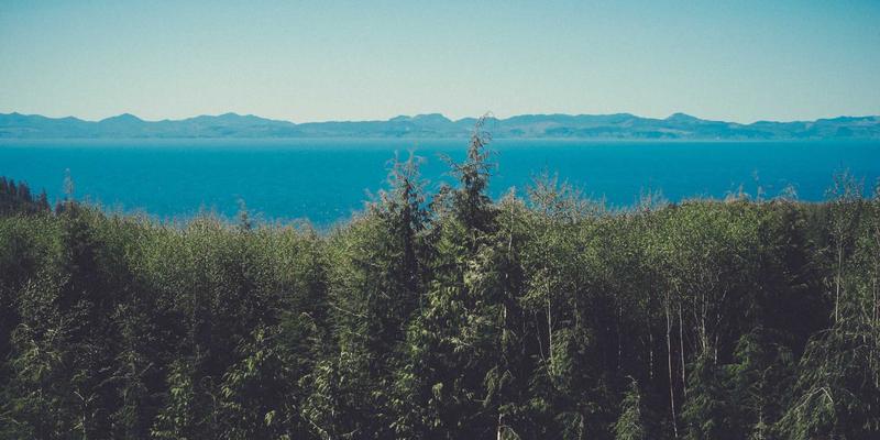 音响设备69：功放与黑胶的黄金组合，重塑高保真音乐体验