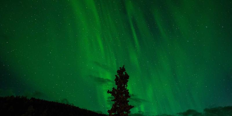 音响设备99：解码功放与Hi-Fi系统的核心奥秘