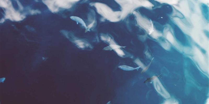 黑胶Hi-Fi的灵魂抉择：电子管与晶体管功放的电路美学与音色哲学